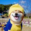 我喜欢吃鱼's Avatar